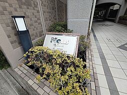 7 / 30