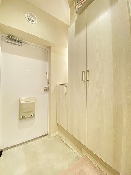淡い色調でまとめられた空間が、住まいの第一印象を穏やかで清潔感のあるものに整えてくれます。