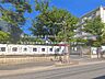 周辺：東保木間保育園（1290m）