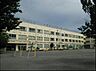 周辺：中野区立平和の森小学校（789m）