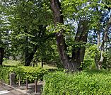 もえぎ野公園（486m）