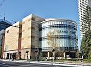 イトーヨーカドー グランツリー武蔵小杉店（135m）
