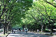 都立駒沢公園（260m）