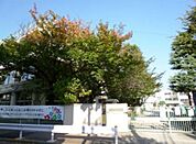 世田谷区立多聞小学校（511m）