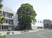 世田谷区立松沢小学校（872m）