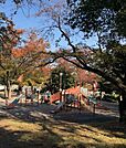 梶ケ谷第一公園（796m）