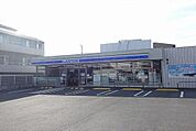 ローソン 高津上作延店（275m）