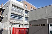 世田谷区立桜小学校（492m）