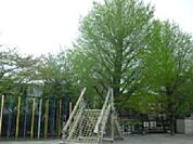 太子堂小学校（700m）