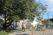 桜新町さくらっ子公園（876m）