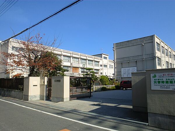 画像19:【小学校】大阪市立十三小学校まで226ｍ