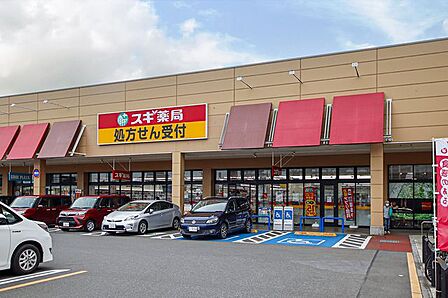 スギ薬局所沢北原店 徒歩11分 860m