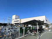 ケーヨーデイツー 1000m