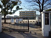 八潮市立松之木小学校 1051m