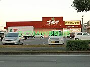 ゴダイドラッグ桜が丘店 517m