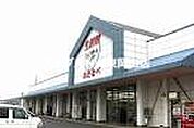 わたなべ生鮮館城東店 1744m