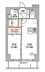 アヴィスタ 1LDKの間取図画像