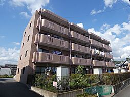 ミレニアム・パレ