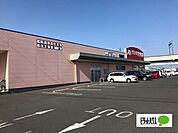 ドラッグストア 「クスリのアオキ内ケ島店まで703m」