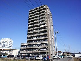 栃木県小山市神山2丁目（賃貸マンション3LDK・9階・76.00㎡） その1