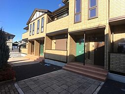 イエロー アイリス B