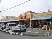 フードオアシスOTANI平松店 577m