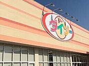 ダイソーヨークベニマル石井店 1319m