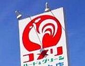 コメリパワー鹿沼店 499m