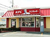 ケンタッキーフライドチキン 490m