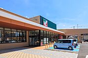 ヨークベニマルミライト一条店 521m