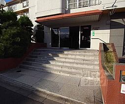 16 / 31