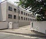 音羽中学校まで1001m