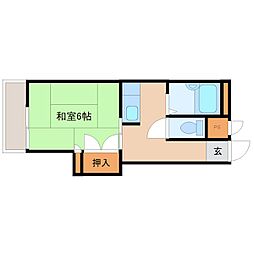 カーサフジイ 5階/-