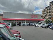 100YEN SHOP FLET’S（100円ショップフレッツ） 立花店（712m）