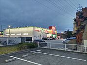 スギドラッグ 尼崎水堂町店（323m）