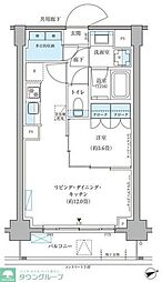 パークアクシス文京本郷 1LDKの間取図画像