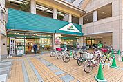 マルエツ 所沢御幸町店 1m