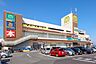 周辺：マミーマート所沢山口店 徒歩12分。 890m