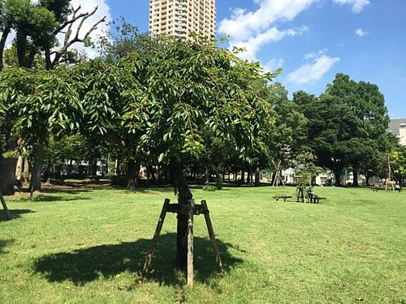 【公園】港区立...