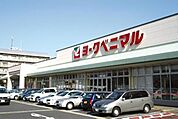 ヨークベニマル細谷店 1021m