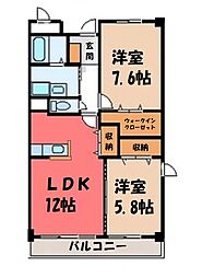 エレガント 2階/-
