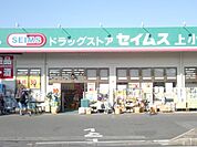 ドラッグセイムス上小町店 207m