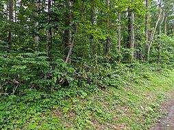 黒姫保養地、９５７平米