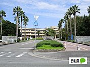 大学「鳴門教育大学まで1661m」鳴門教育大学