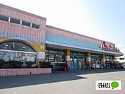スーパー「マルナカ鳴門店まで3117m」マルナカ鳴門店