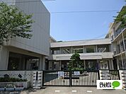 小学校「鳴門市立撫養小学校まで732m」