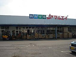 その他「マルエイ姉崎店まで894m」
