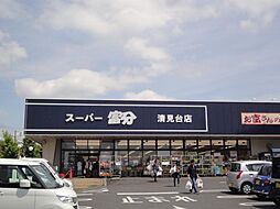 ネオハイムギオン