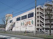 ライフ　太秦店まで800メートル