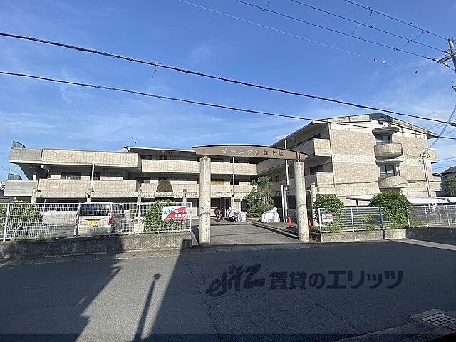6 / 17